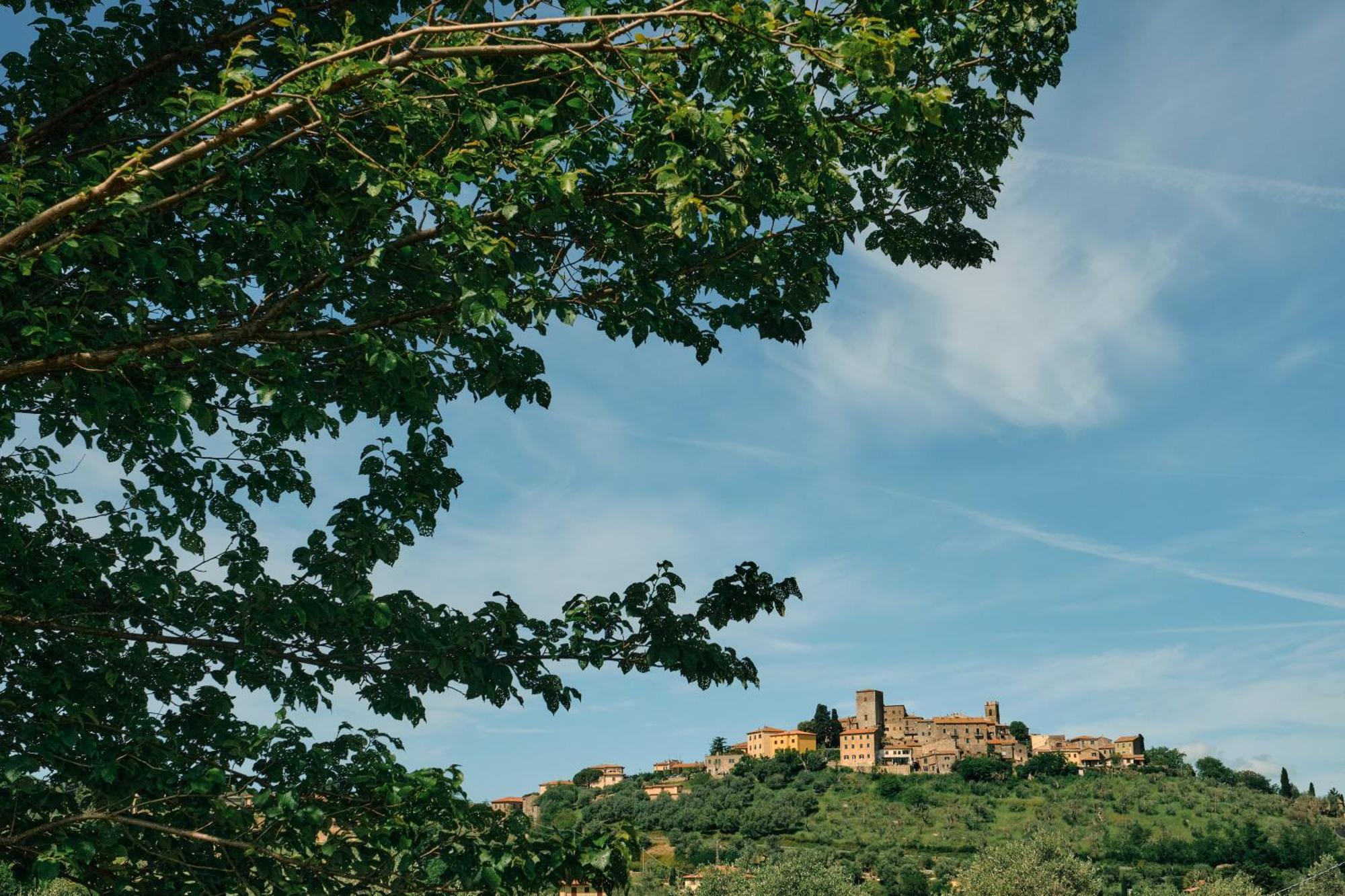 8380 Agriturismo Il Saragiolo مانشانو المظهر الخارجي الصورة
