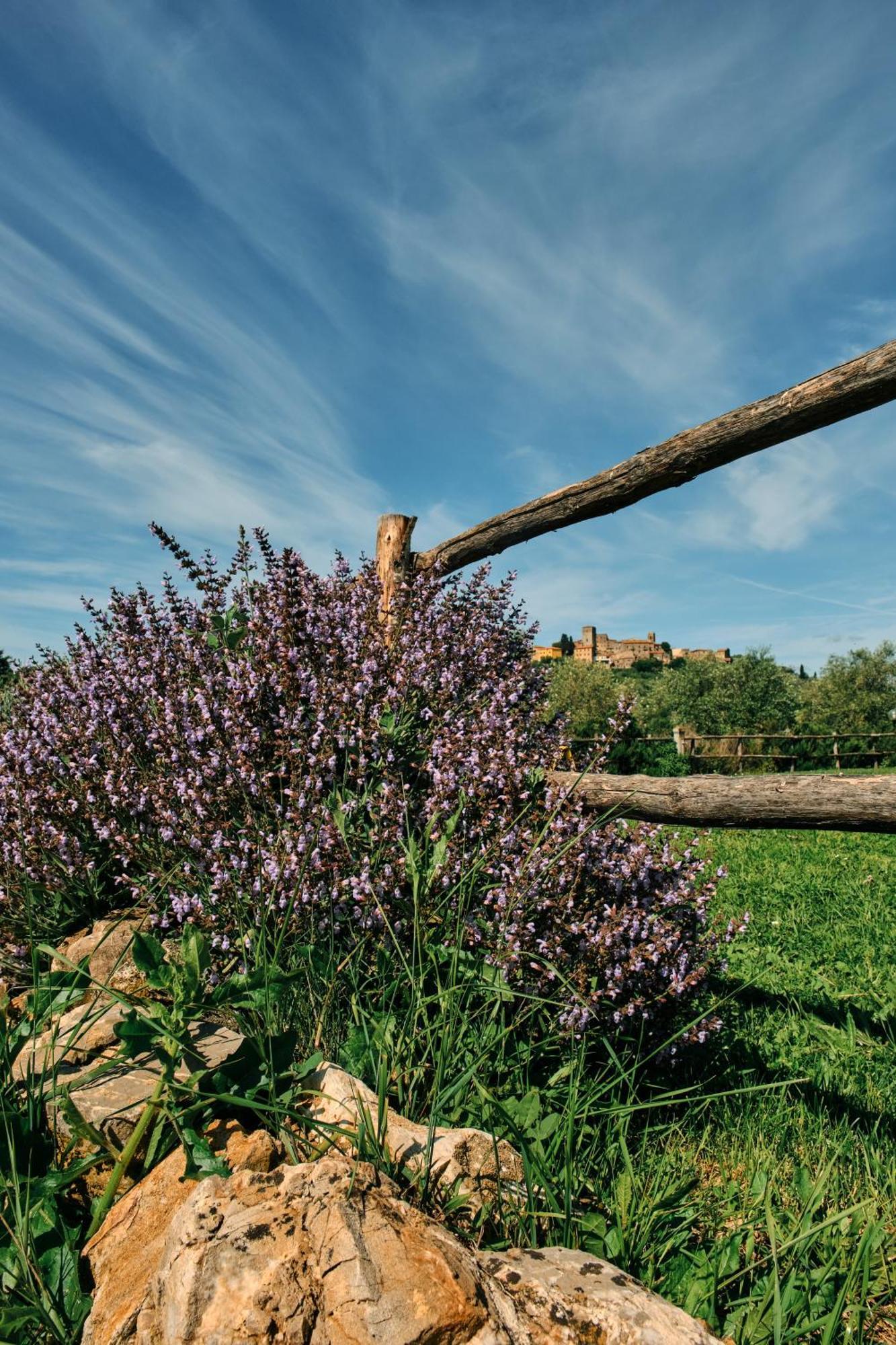 8380 Agriturismo Il Saragiolo مانشانو المظهر الخارجي الصورة